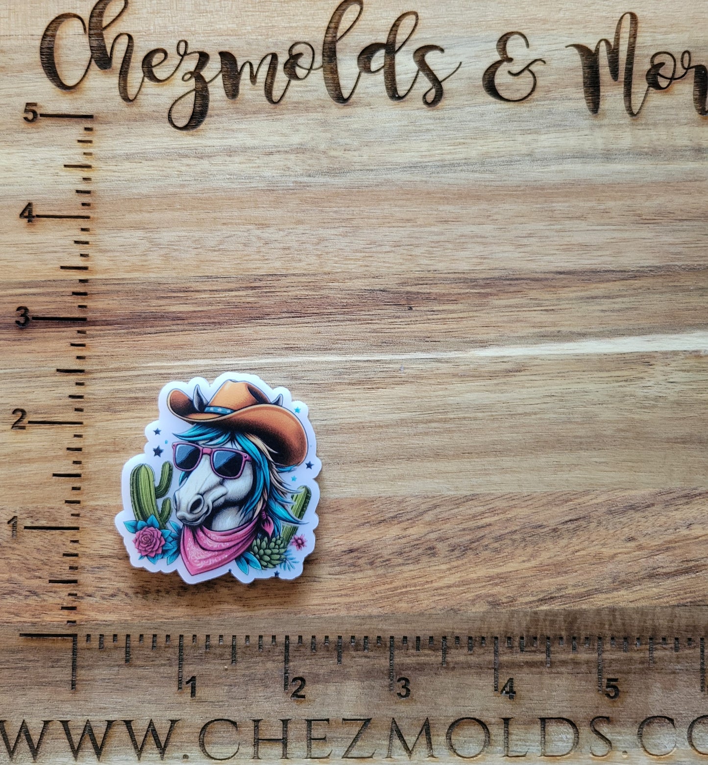 uv printed acrylic flatback -horse cactus