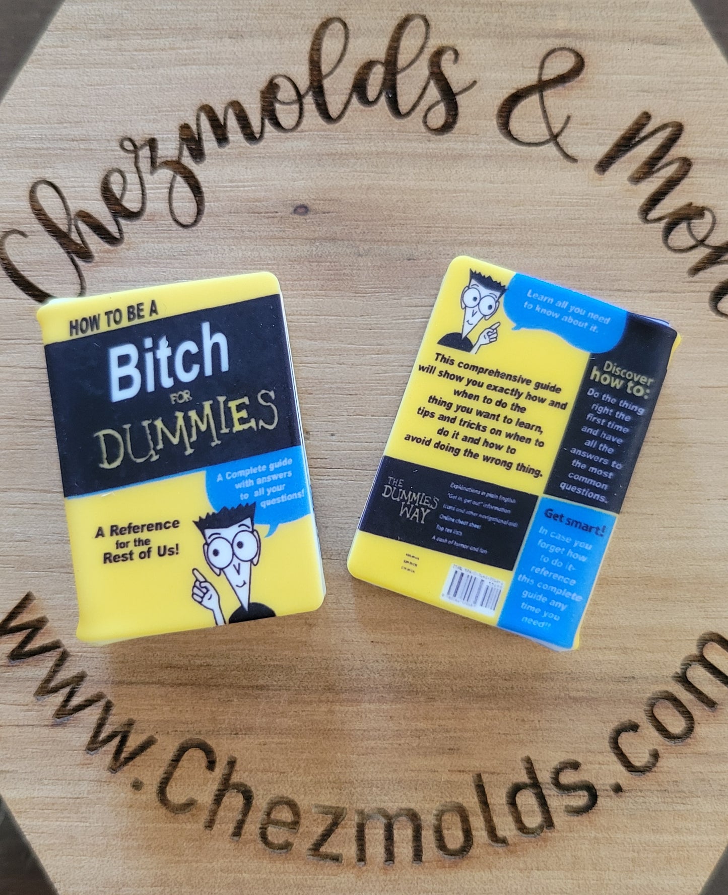 CE-3d silicone focal Bead-* how to be a B*tch for dummies