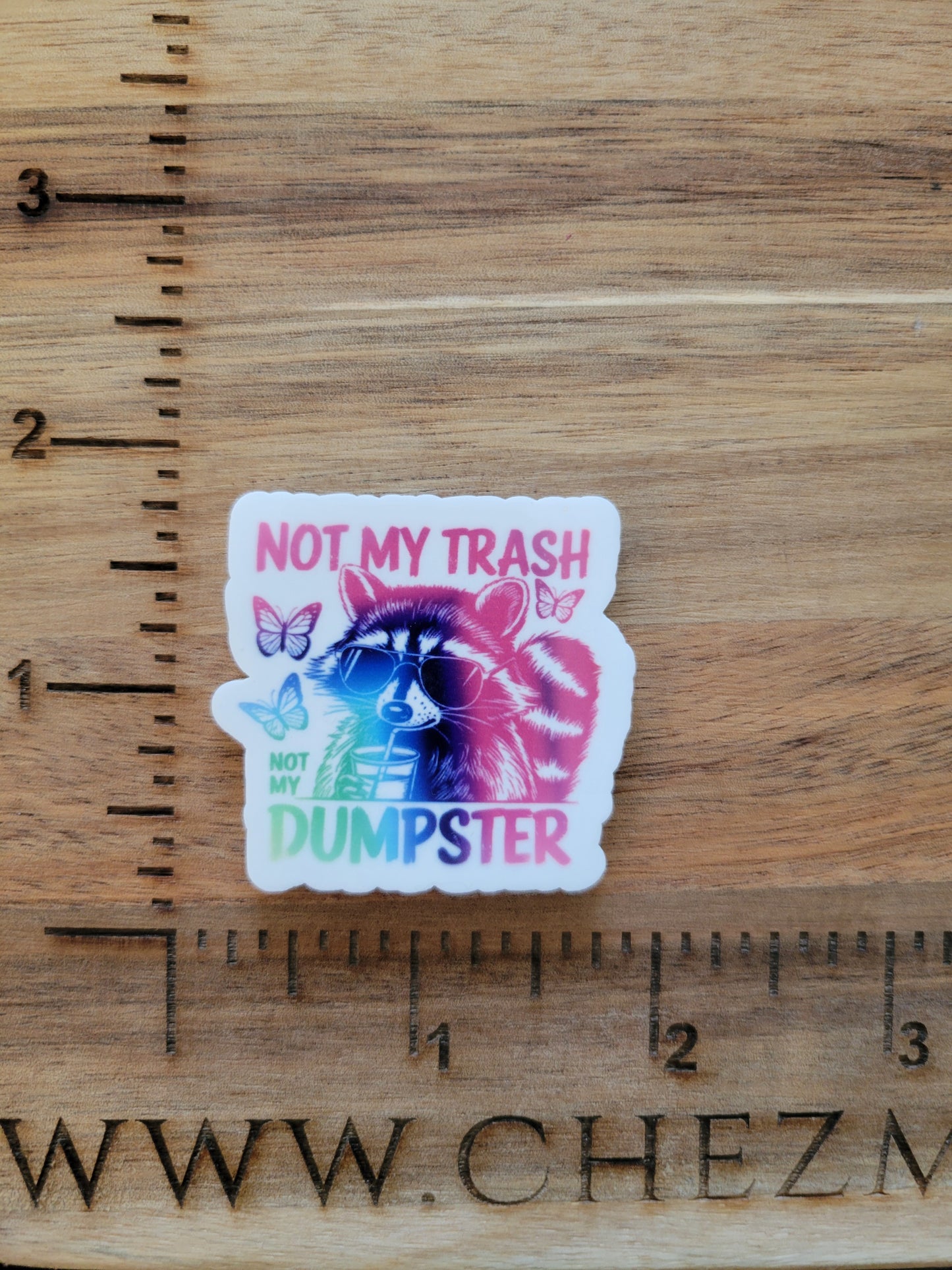 uv printed acrylic flatback- not my trash-not my dumpster