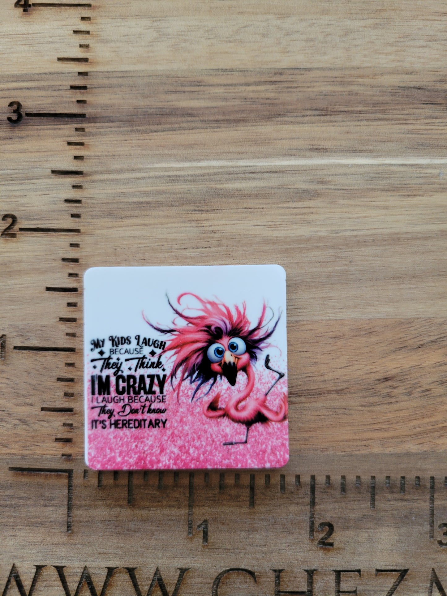 uv printed acrylic flatback- crazy hereditary flamingo