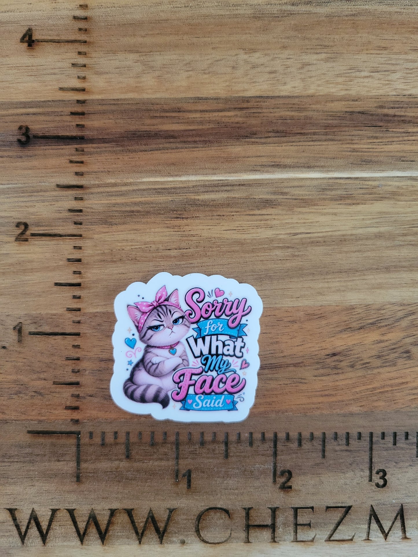 uv printed acrylic flatback-sorry for what my face said cat