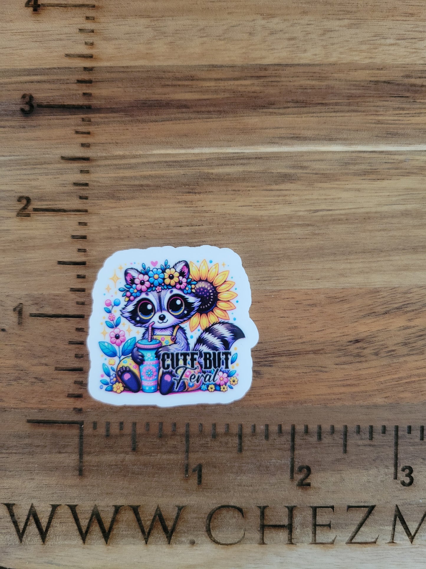uv printed acrylic flatback-cute feral raccoon