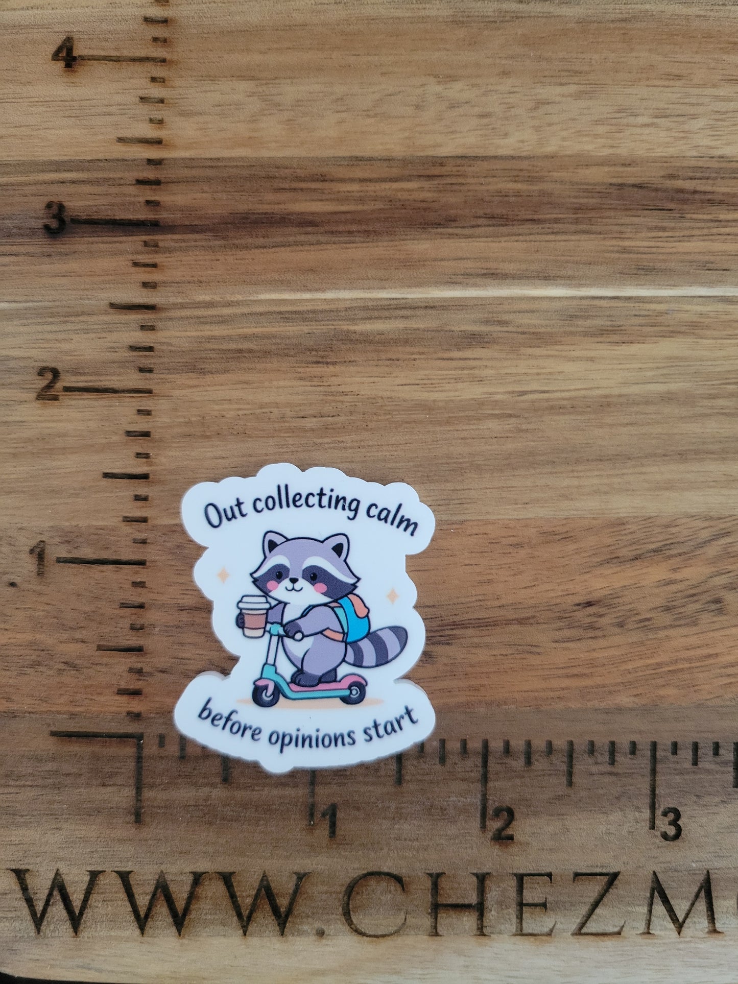 uv printed acrylic flatback-collecting calm raccoon