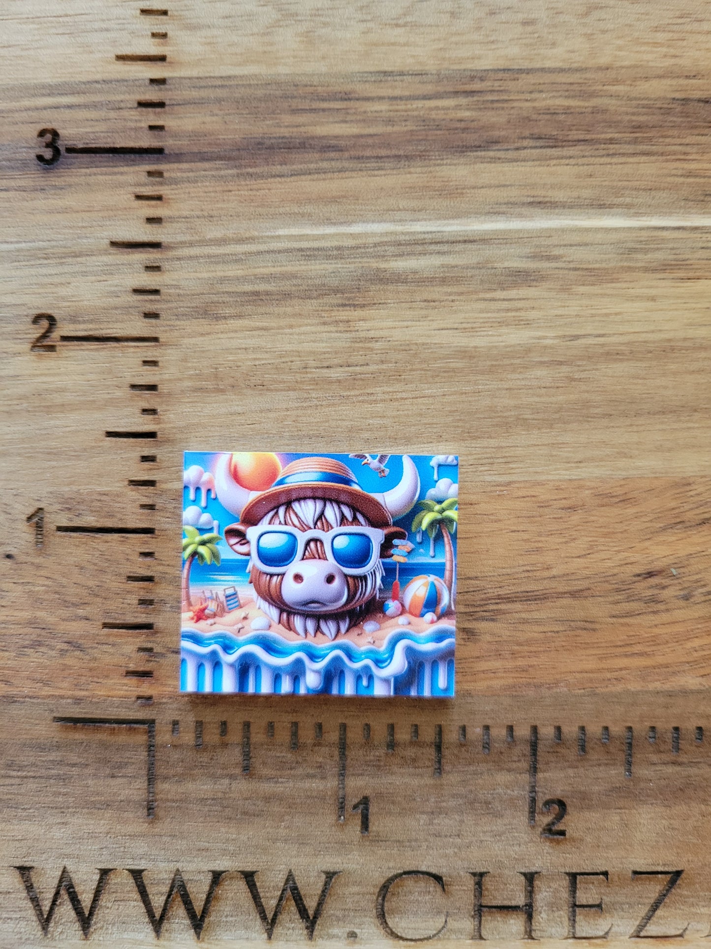 uv printed acrylic flatback-summer beach cow boy