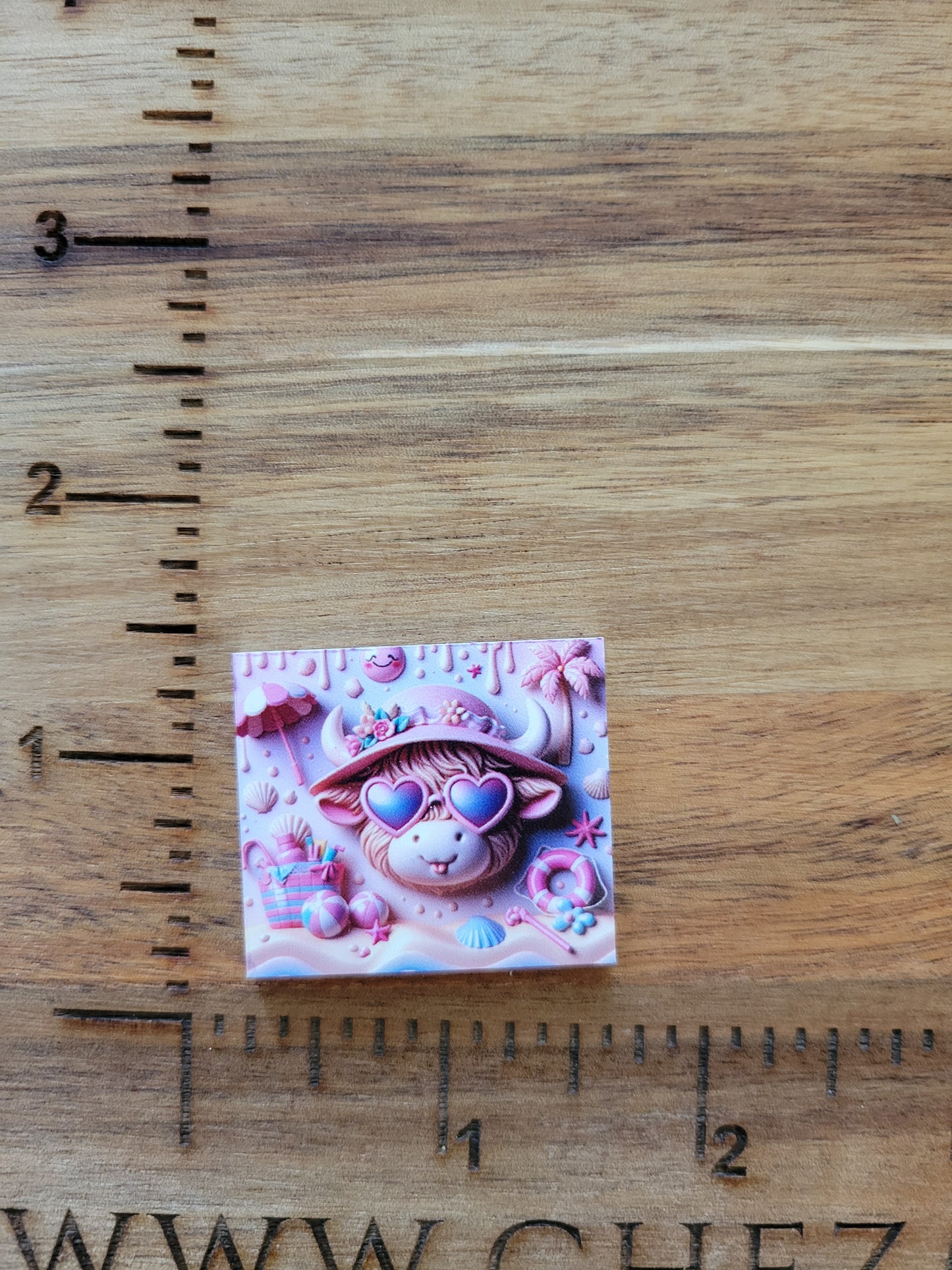 uv printed acrylic flatback-summer beach cow girl