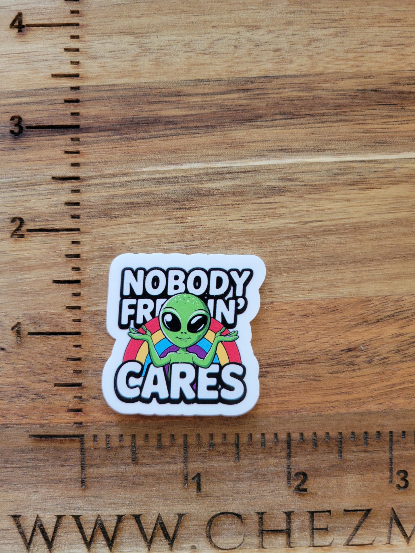 uv printed acrylic flatback-nobody freakin cares alien