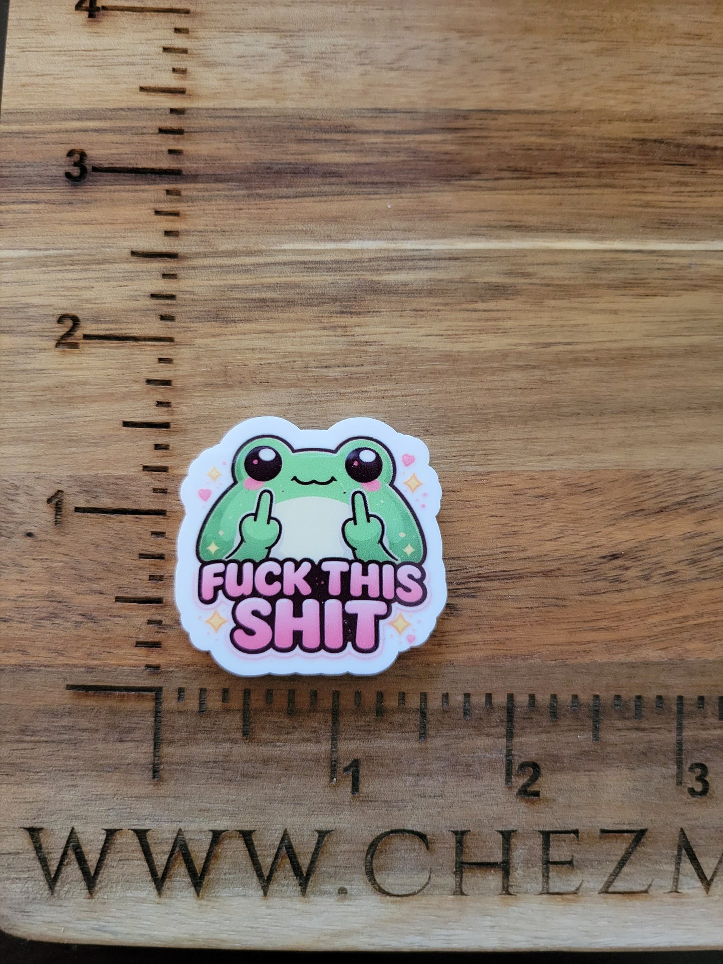uv printed acrylic flatback-F this frog