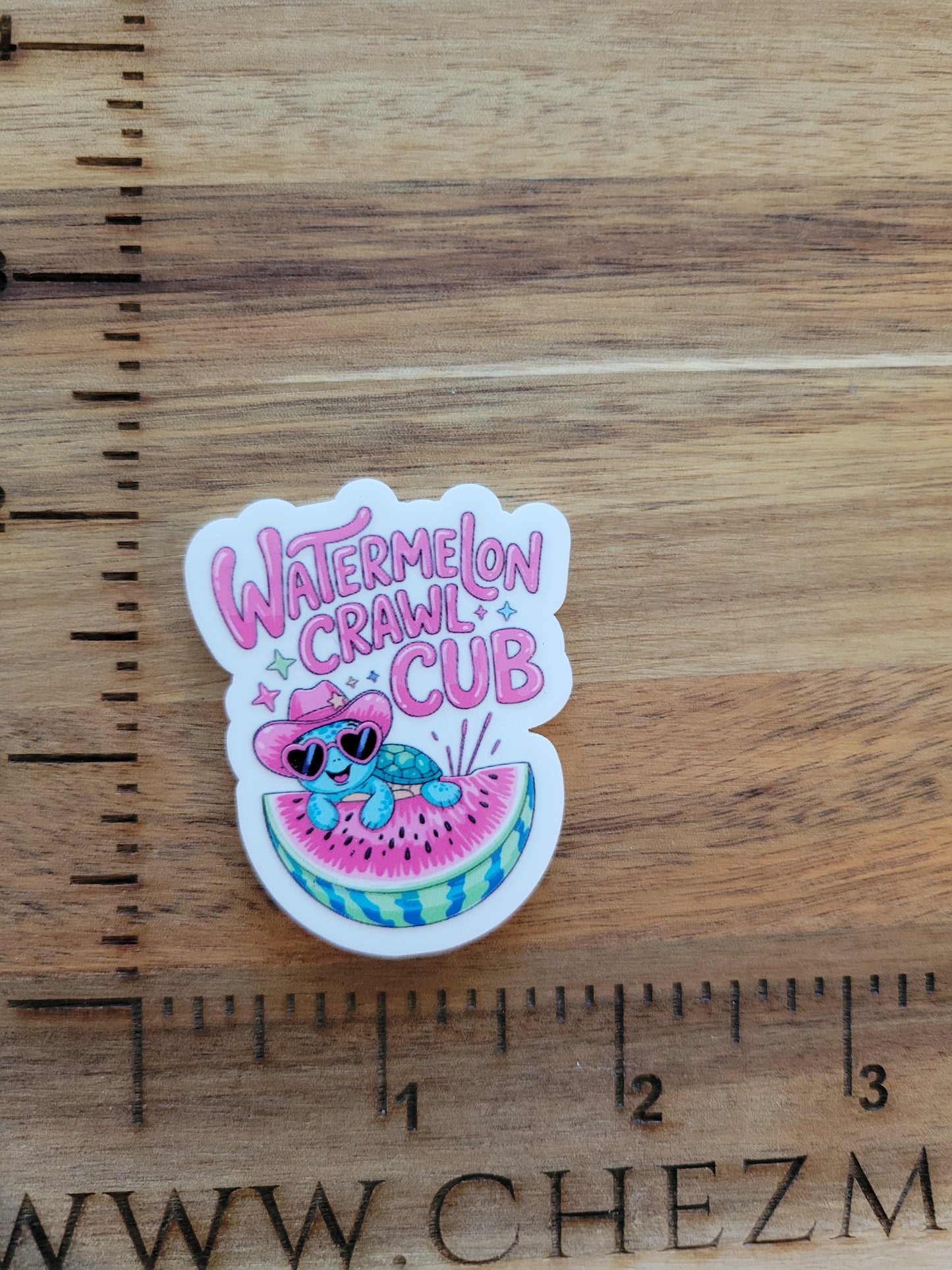 uv printed acrylic flatback-watermelon crawl