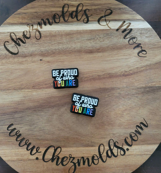 Be proud of who you are- Silicone focal Bead