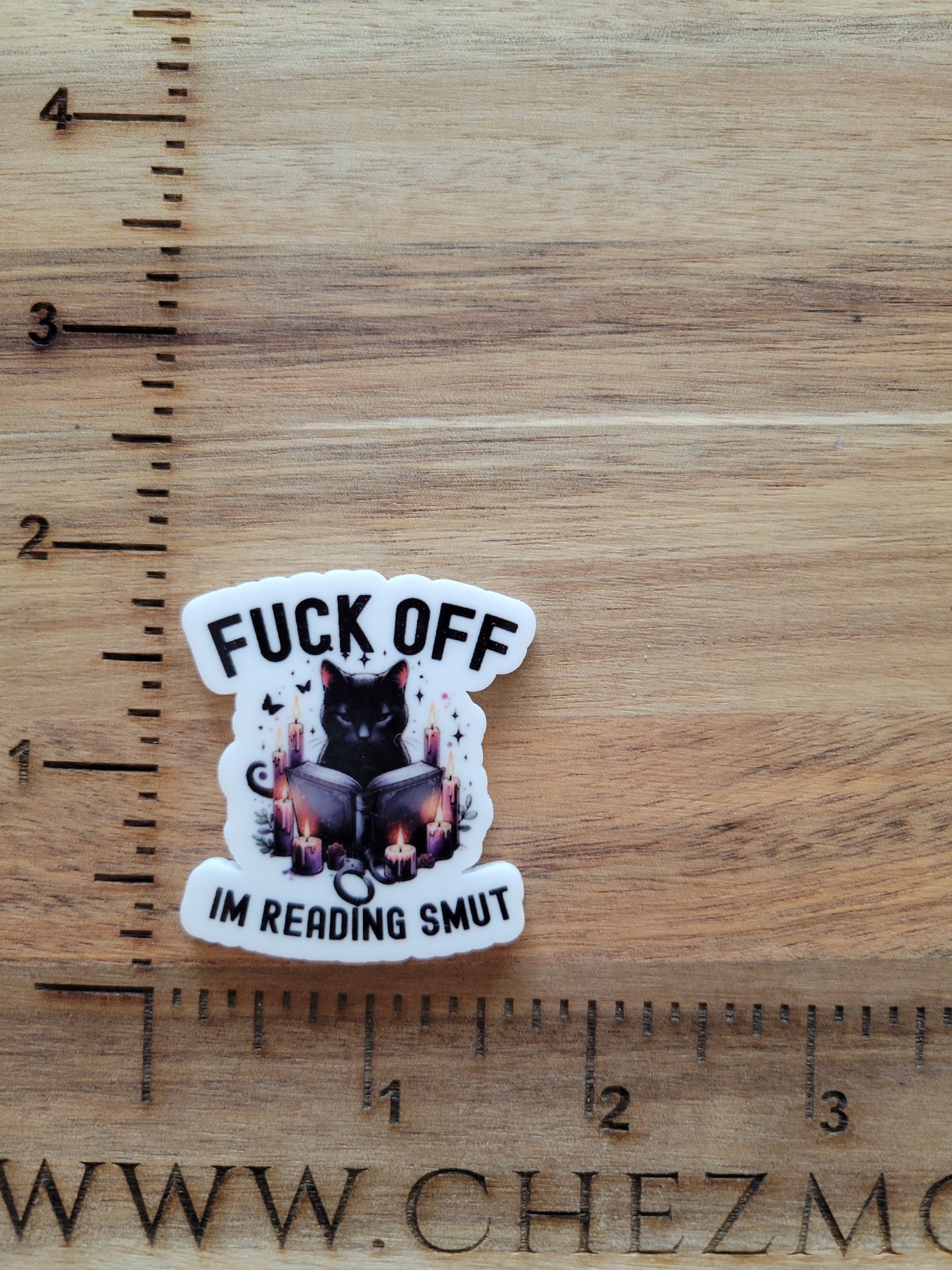 F off im reading smut kitty- uv printed acrylic