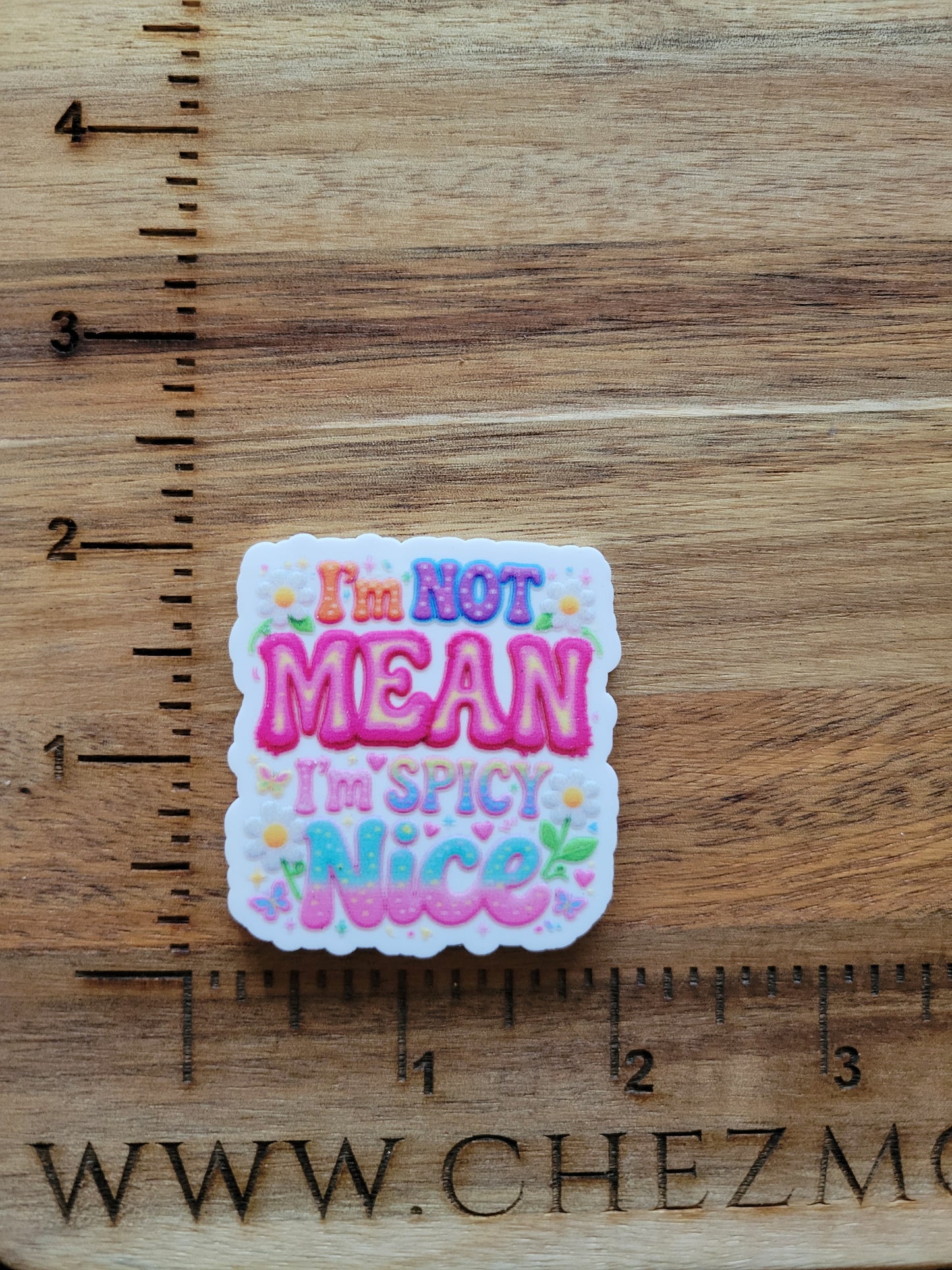 uv printed acrylic flatback-not mean spicy nice