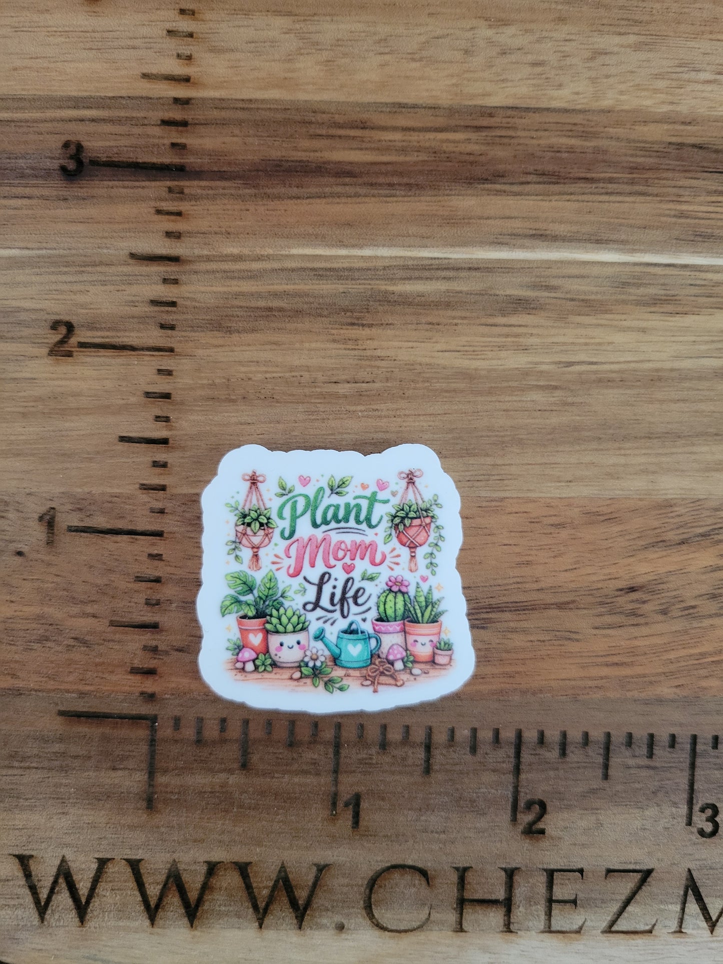 uv printed acrylic flatback-plant mom life