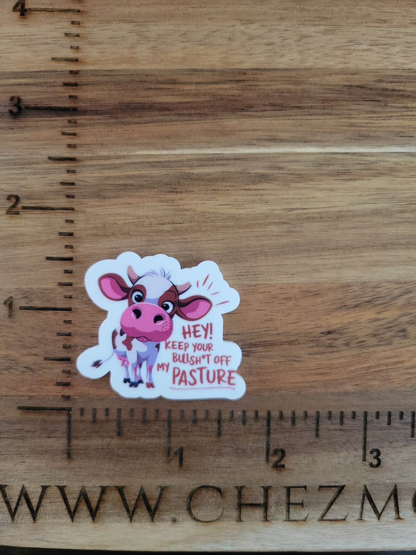 uv printed acrylic flatback-pasture bs cow