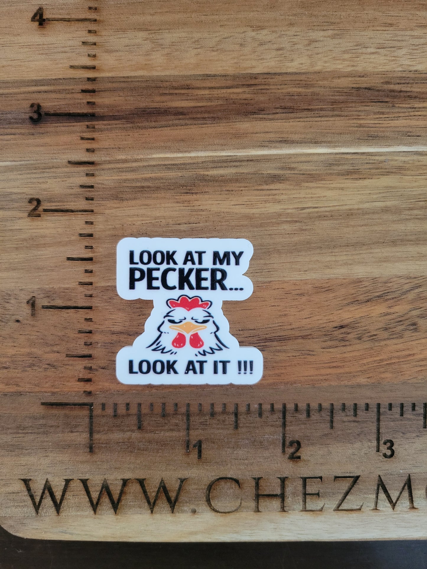 uv printed acrylic flatback-look at my pecker
