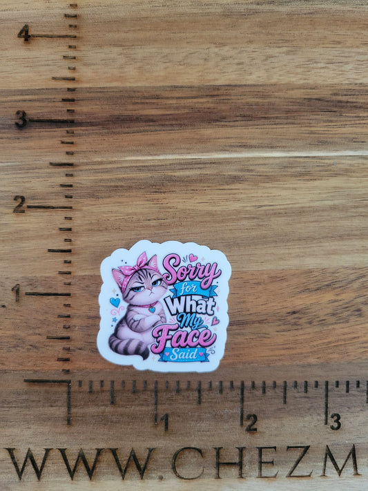 uv printed acrylic flatback-sorry for what my face said cat