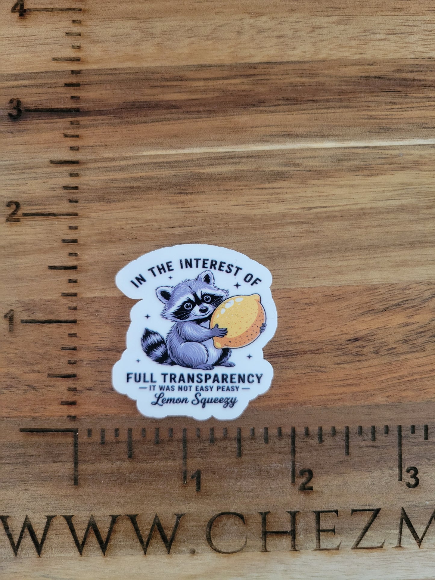 uv printed acrylic flatback-transparency raccoon