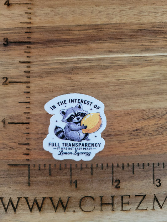uv printed acrylic flatback-transparency raccoon