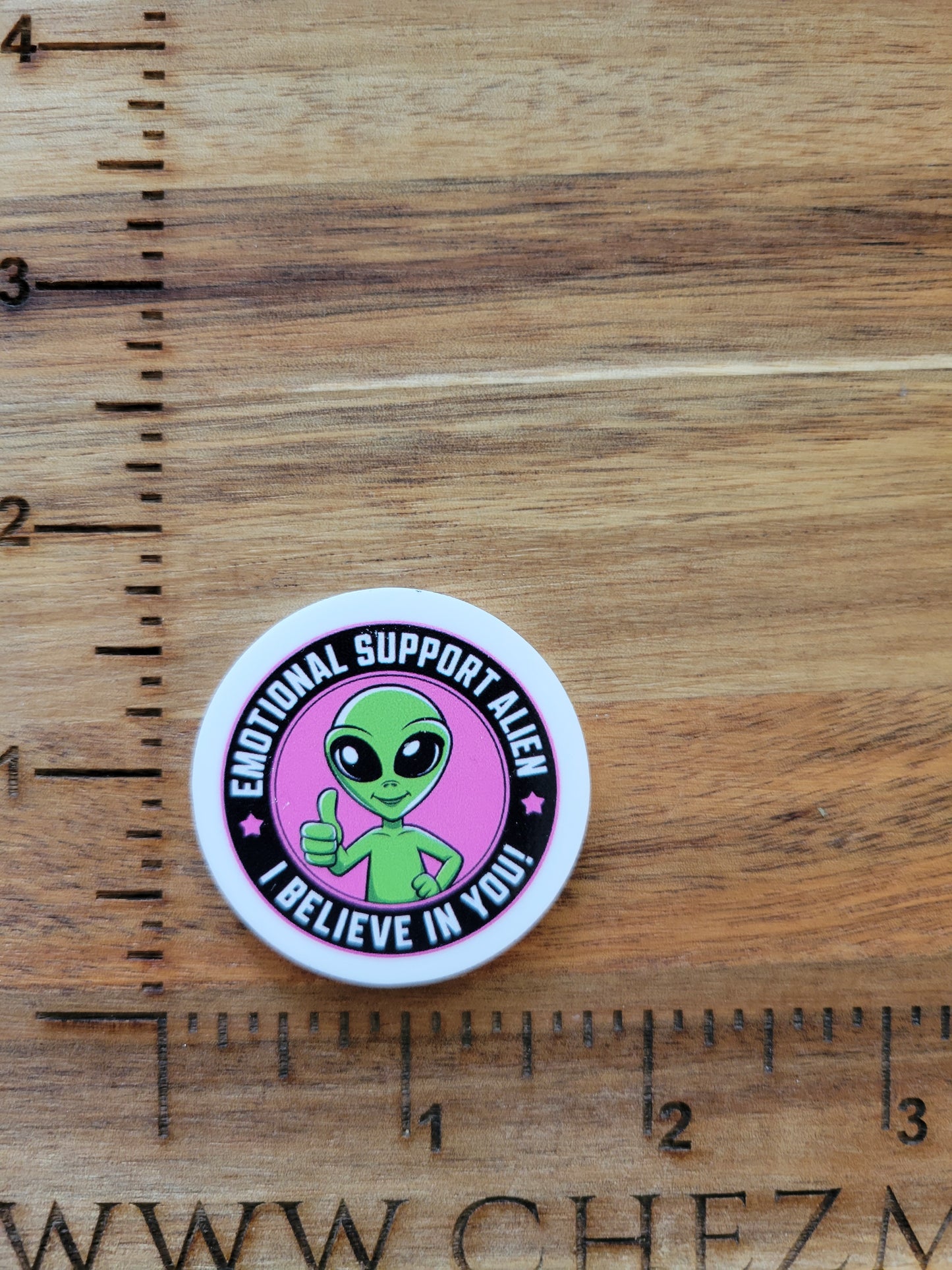 uv printed acrylic flatback-emotional support alien