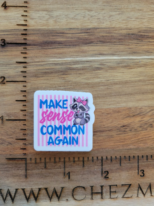 uv printed acrylic flatback-make sense common again raccoon