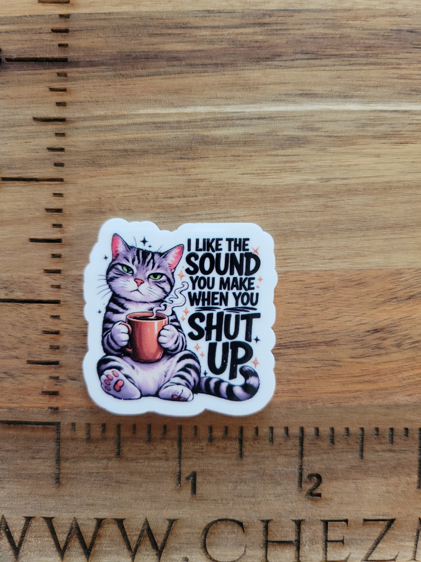 uv printed acrylic flatback-I like the sound when you shut up