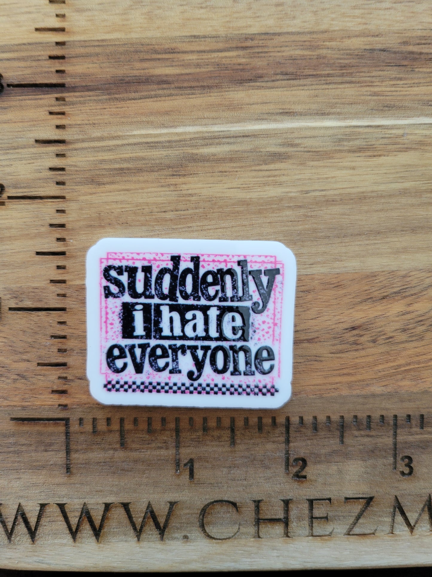 uv printed acrylic flatback-suddenly i hate everyone