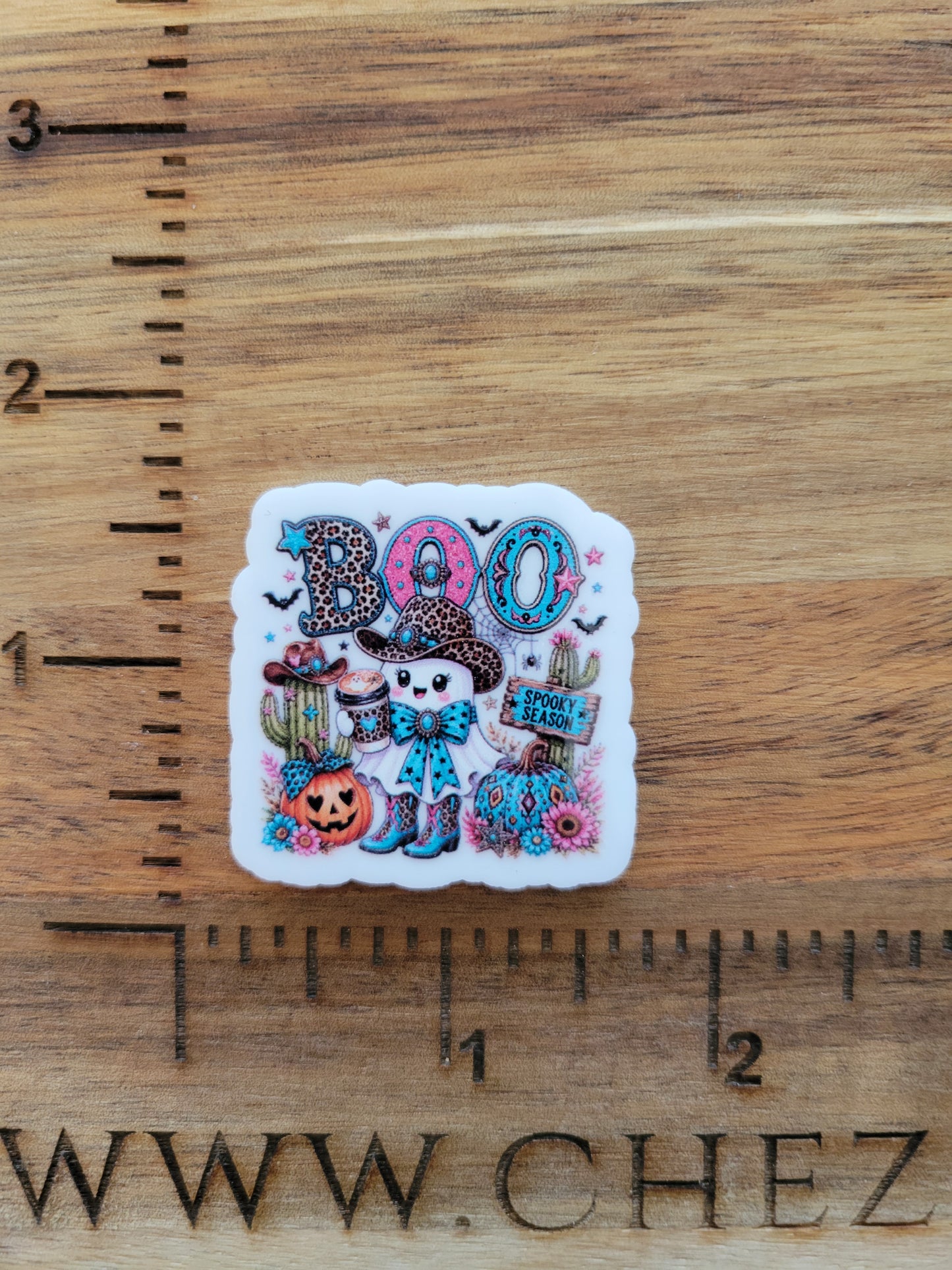 uv printed acrylic flatback-turquoise boo