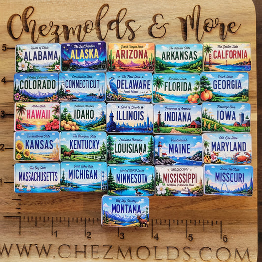 CE 3d printed focal Bead-Exclusive designed state license plates- MTO SEE BELOW