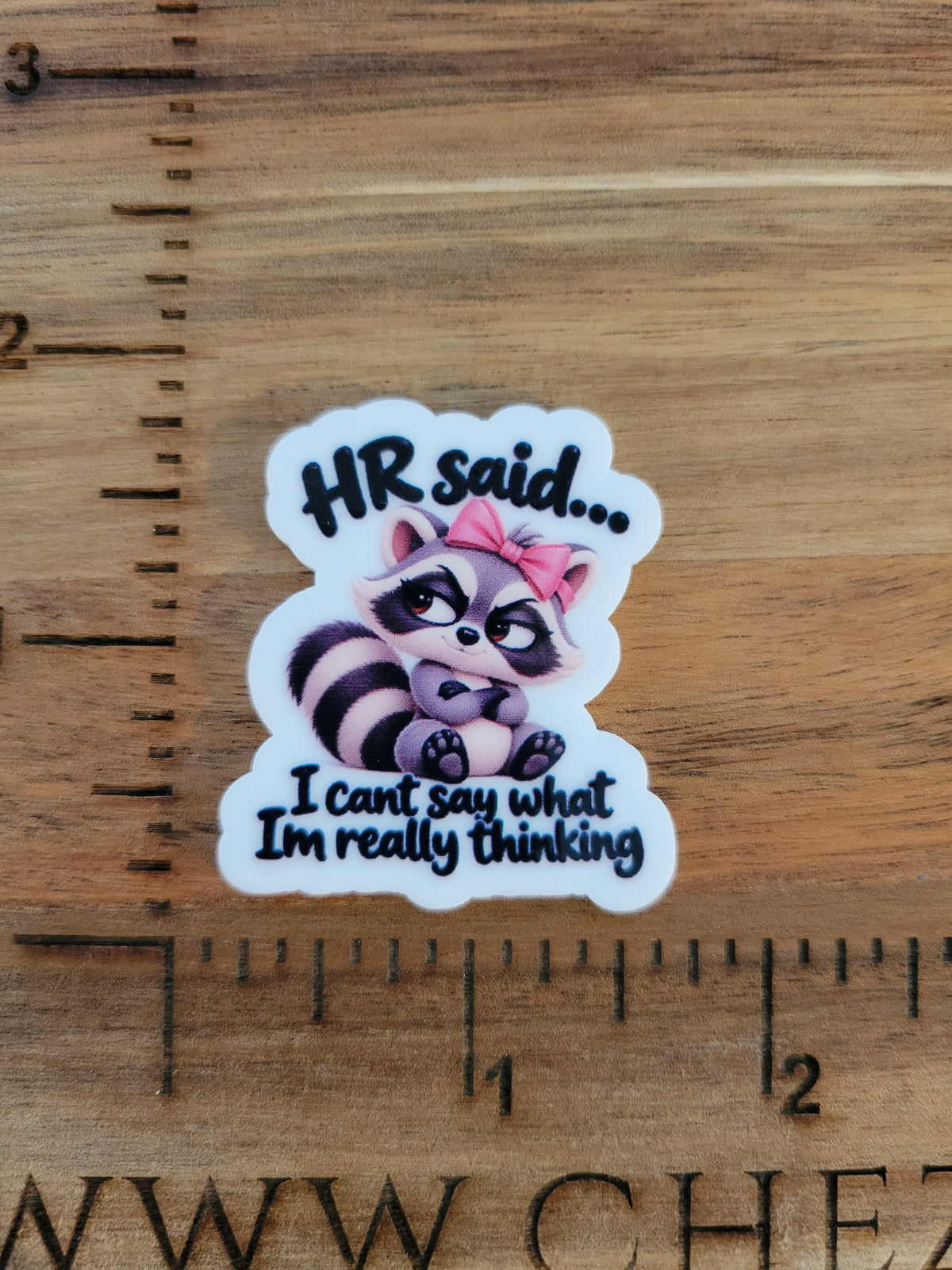 uv printed acrylic flatback- HR said raccoon